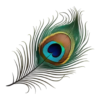 Universal Jewellery Mart – Explore a wide collection of artificial, fancy, and microplated jewellery.